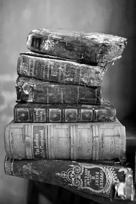 تاریخ و جامعه‌شناسی